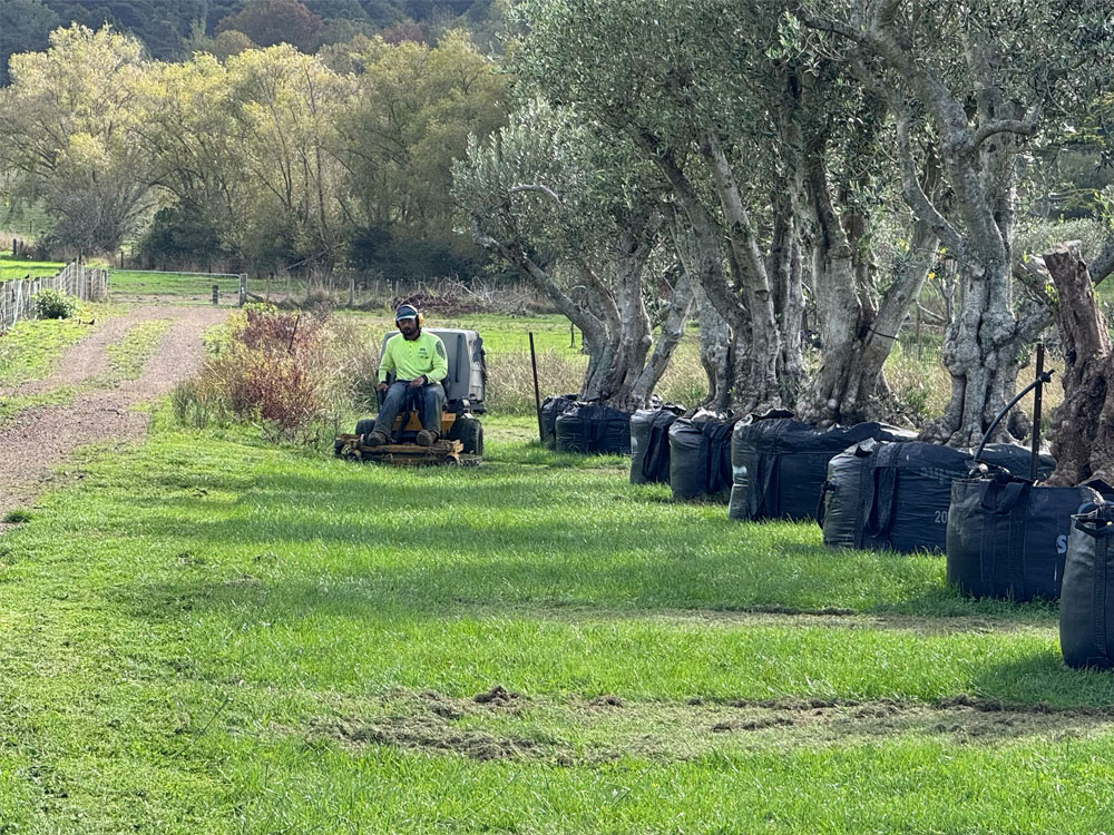 Paddock Mowing